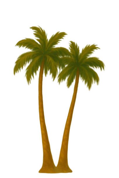 Straight Palm Tree